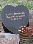 DSC08516, O'DRISCOLL, WATERFALL.JPG